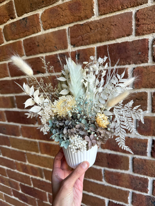 Beatrix - Dried Flowers
